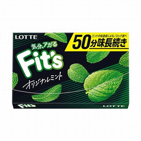 Lotte Fit's Original Mint Chewing Gum Pack of 10 (Japan)